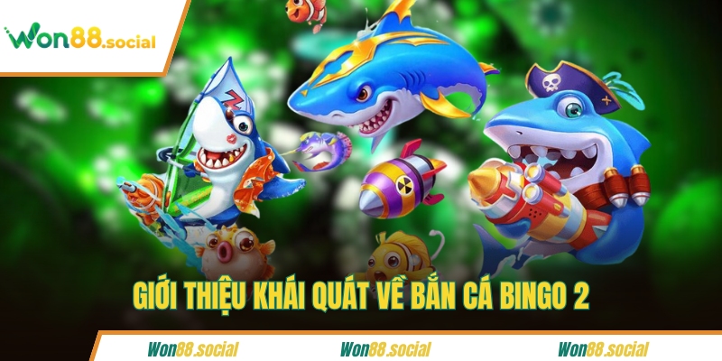 Giới thiệu khái quát về bắn cá bingo 2