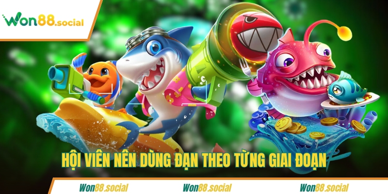 Hội viên nên dùng đạn theo từng giai đoạn