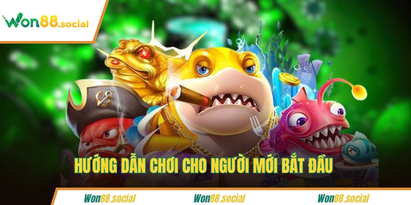 Hướng dẫn chơi cho người mới bắt đầu 