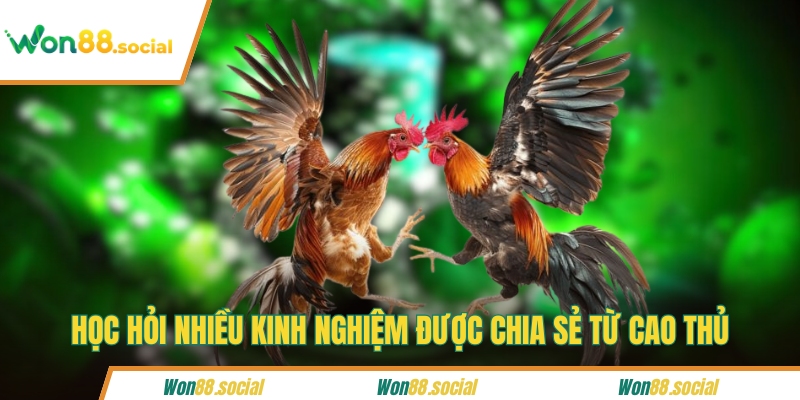 Học hỏi nhiều kinh nghiệm được chia sẻ từ cao thủ
