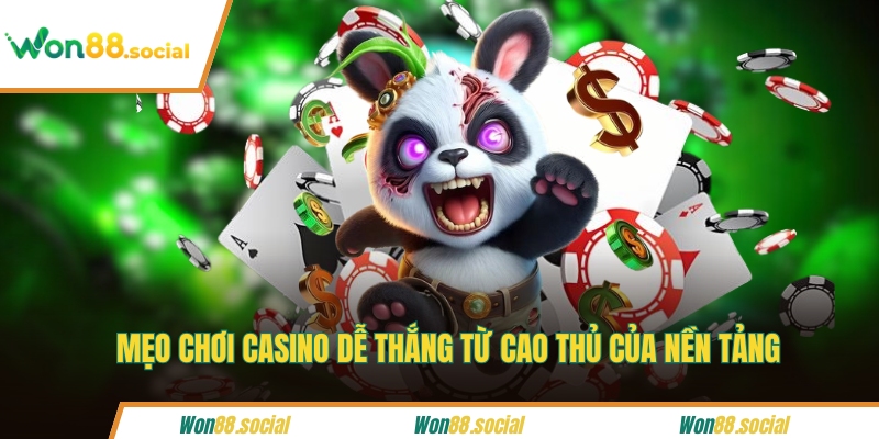 Mẹo chơi casino dễ thắng từ cao thủ của nền tảng