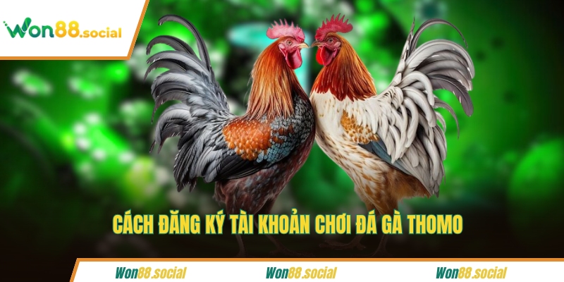 Cách đăng ký tài khoản chơi đá gà Thomo