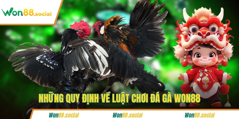 Những quy định về luật chơi đá gà WON88