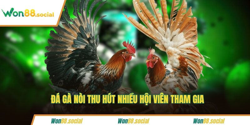 Đá gà nòi thu hút nhiều hội viên tham gia