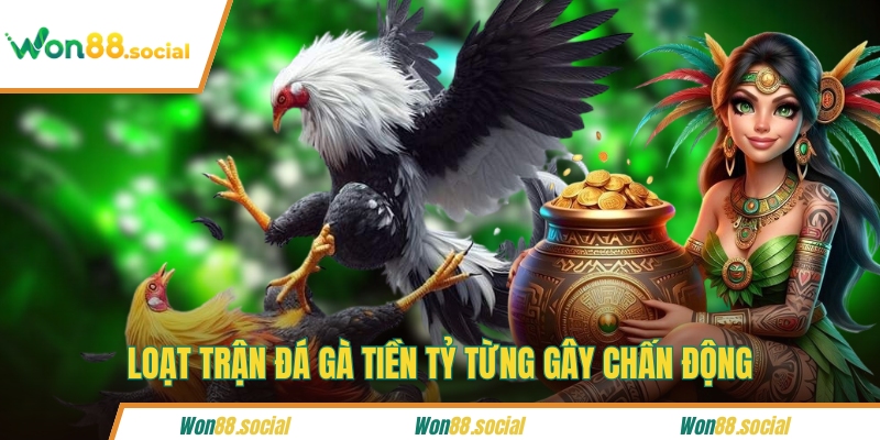 Loạt trận đá gà tiền tỷ từng gây chấn động