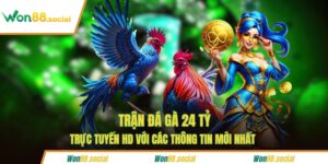 Trận đá gà 24 tỷ